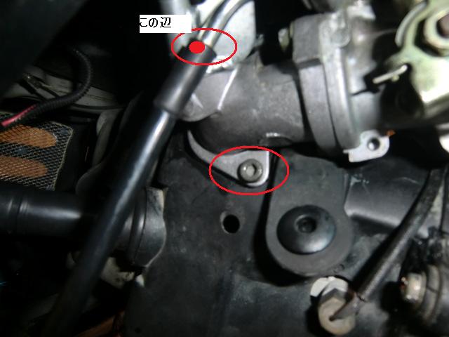 CIMG1750.jpg(53564 byte)
