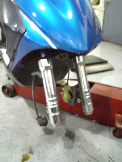 DVC00155.jpg(67498 byte)