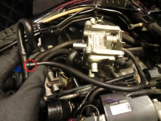 CIMG2897.jpg(67282 byte)